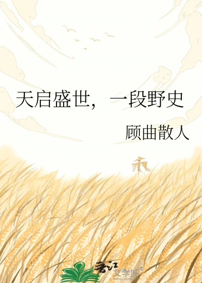 天启盛世，一段野史封面