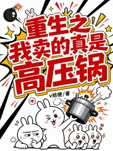 重生之我卖的真是高压锅封面