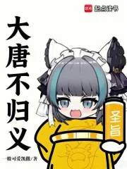 大唐不归义封面