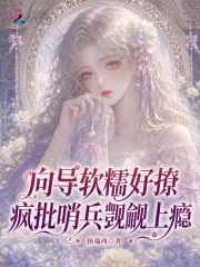 向导软糯好撩,疯批哨兵觊觎上瘾封面