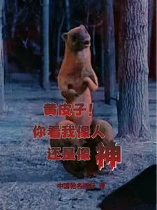 黄皮子!你看我像人还是像神?封面