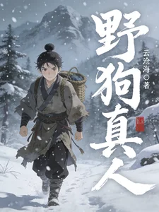 野狗真人封面