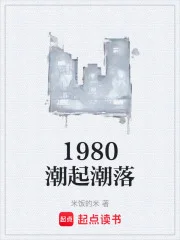 1980潮起潮落封面