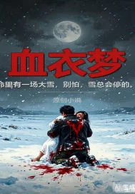血衣梦封面