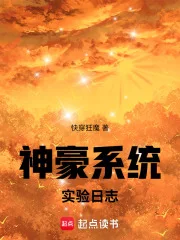 神豪系统实验日志封面
