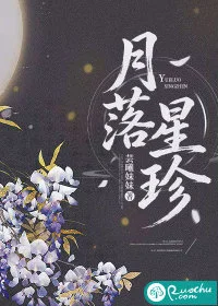 月落星珍封面