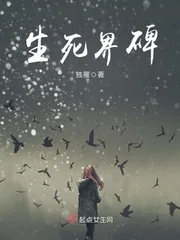 生死界碑封面