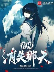 青梅消失那天封面