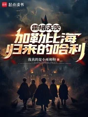 霍格沃茨:加勒比海归来的哈利封面