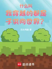 什么叫我穿越的都是子供向世界?封面