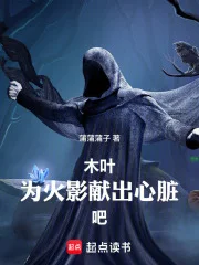 木叶:为火影献出心脏吧!封面