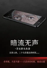 暗流无声封面