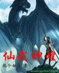 独步成仙封面