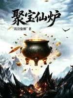 聚宝仙炉封面