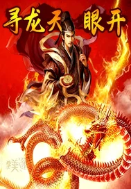 寻龙天眼开封面