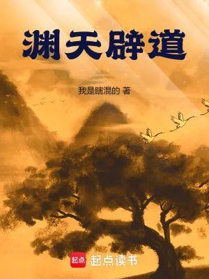 渊天辟道封面