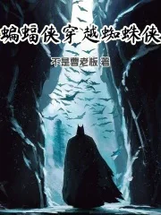 蝙蝠侠穿越蜘蛛侠封面