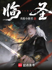 临圣封面
