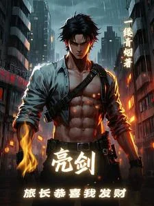 亮剑,旅长恭喜我发财封面