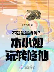 不就是黑线吗？本小姐玩转修仙封面