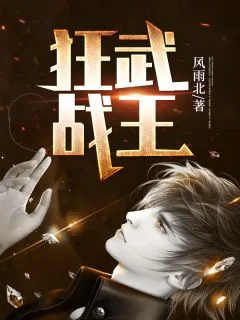 狂武战王封面