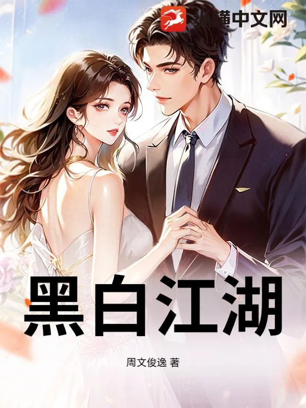 黑白江湖封面