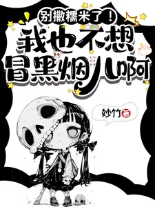 别撒糯米了!我也不想冒黑烟儿啊封面