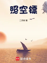 照空镖封面
