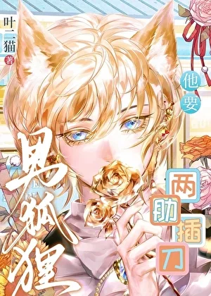 男狐狸他要两肋插刀封面