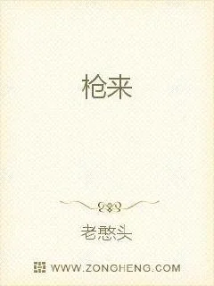 枪来封面