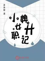 小婢女升职记封面