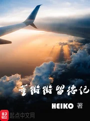 董锵锵留德记封面