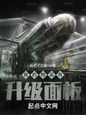 我的物品有升级面板封面