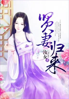 贤妻归来封面
