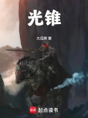 光锥封面