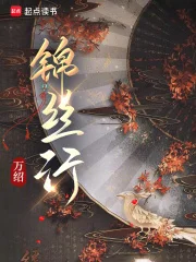 锦丝行封面