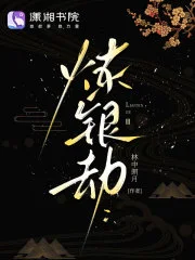 炼银劫封面