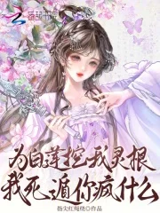 为白莲挖我灵根?我死遁你疯什么封面