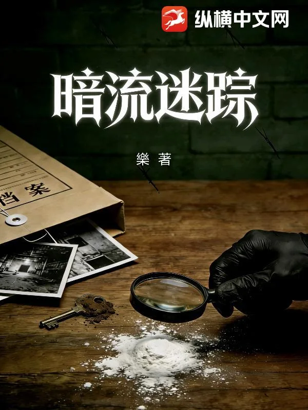 暗流迷踪封面