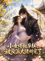 小女修挺孕肚,被反派大佬娇宠了封面