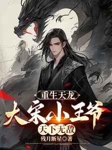 重生天龙,大宋小王爷,天下无敌封面