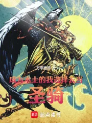 成为术士的我选择去当圣骑！封面