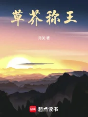 草芥称王封面