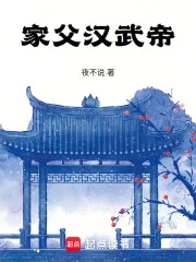 家父汉武帝封面