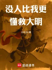 没人比我更懂救大明封面