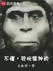 不懂,我玩猿神的封面