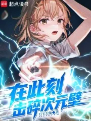 在此刻，击碎次元壁封面