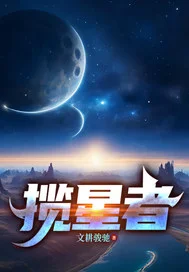 揽星者封面