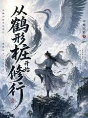 从鹤形桩开始修行封面