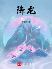 降龙封面
